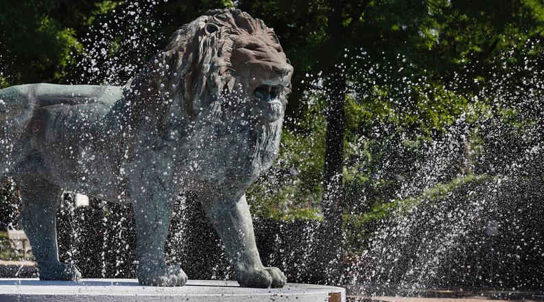 狮子喷泉
